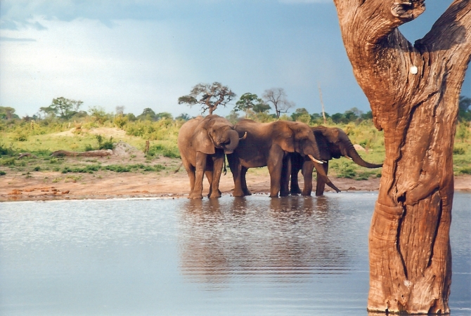 Cascate Vittoria e al Parco Nazionale Hwange Africa